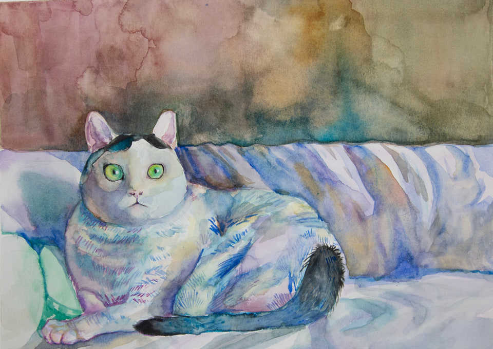 A gray cat with green eyes resting on a pale blue cushion.