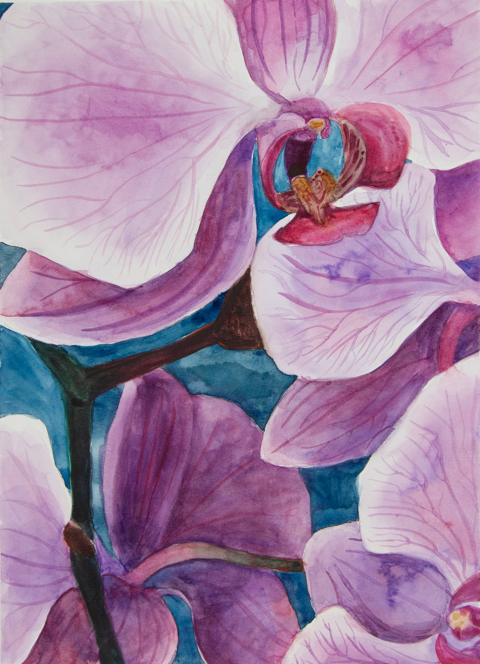 A close-up painting of an orchid with pink and purple petals.